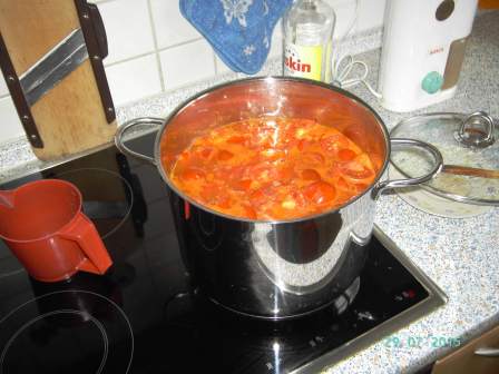 Tomatensuppe aus 8 kg Tomaten